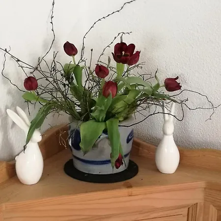 Elbhangzimmer * Dresda