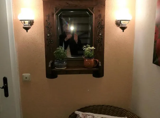 Elbhangzimmer Drážďany