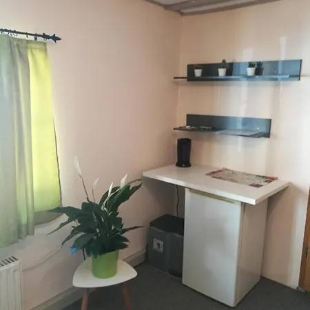 Elbhangzimmer B&B 드레스덴