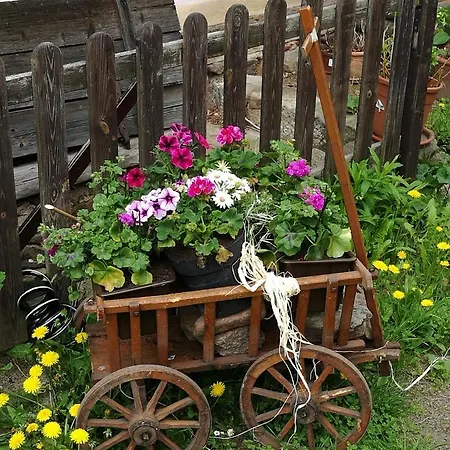 Elbhangzimmer